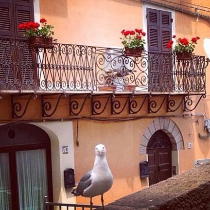 L'Appogghju Bed and Breakfast Castelsardo Buitenkant foto